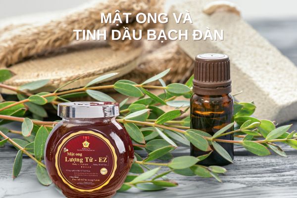 Mật ong và tinh dầu bạch đàn